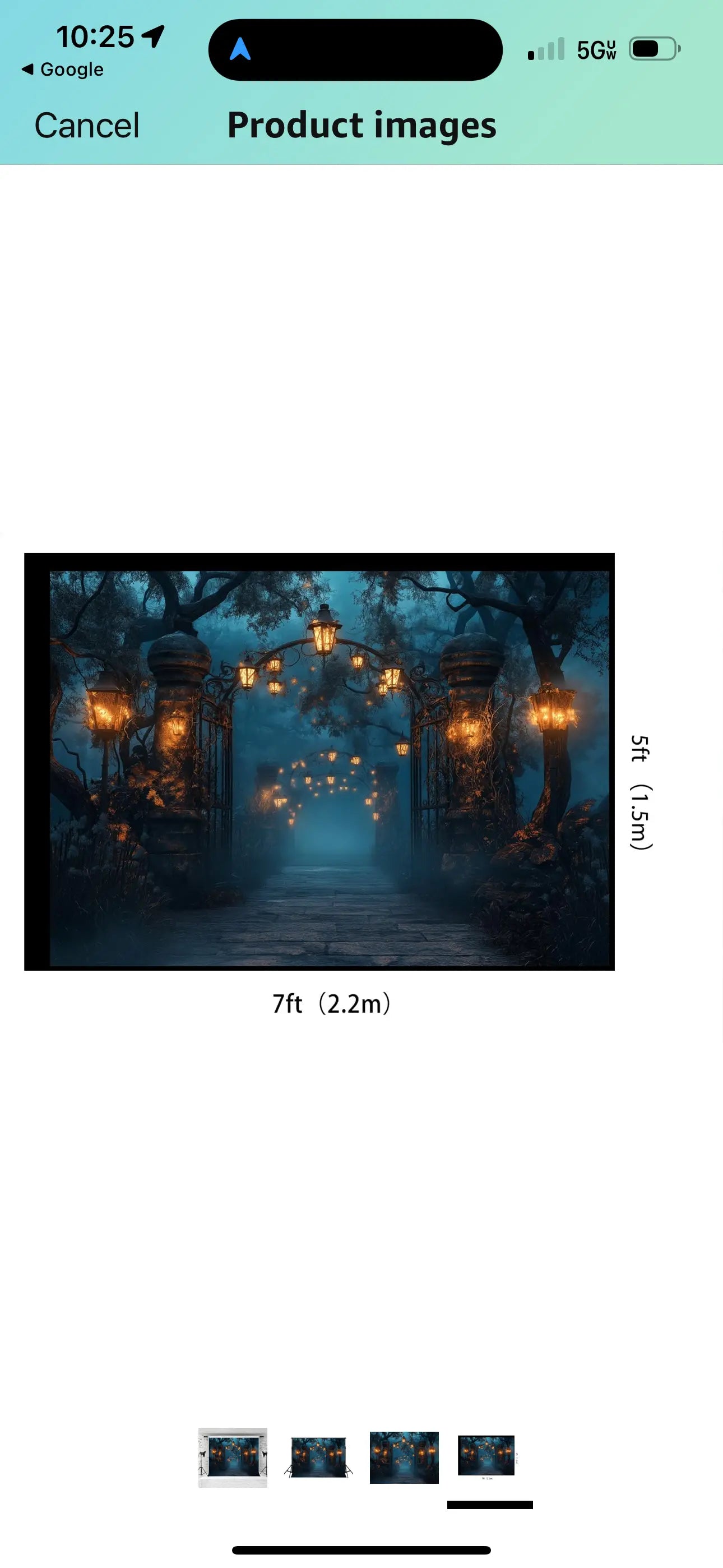 Backdrops - Backdrop Bliss