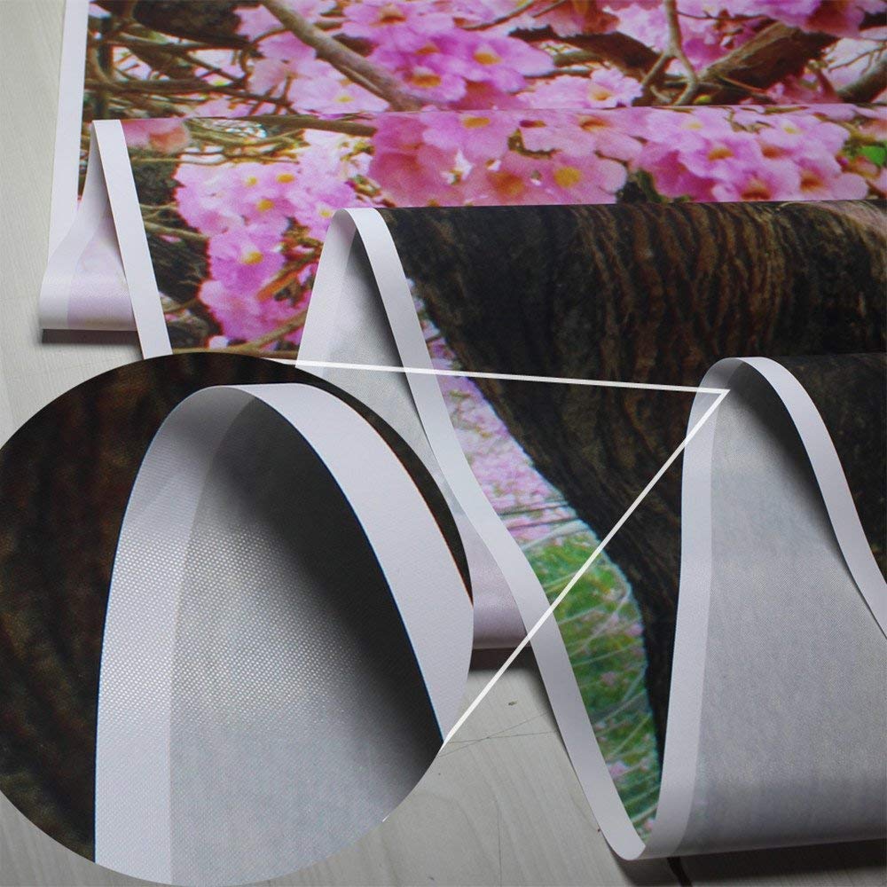 CYLYH 8X6FT Summer Tropical Sea Beach Backdrop Photography Hawaiian Tropical Beach Scenery Palm Trees Background for Wedding Birthday Party Banner Baby Shower D905 Backdrop Bliss